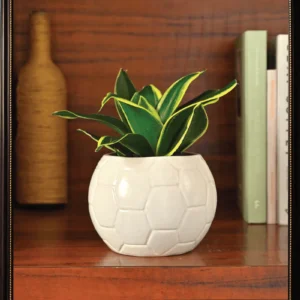 Football Ceramic Pot - Green Root